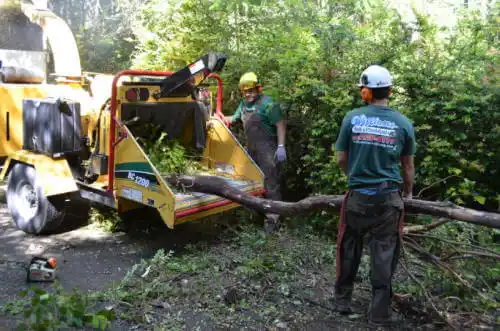 tree services Union Point